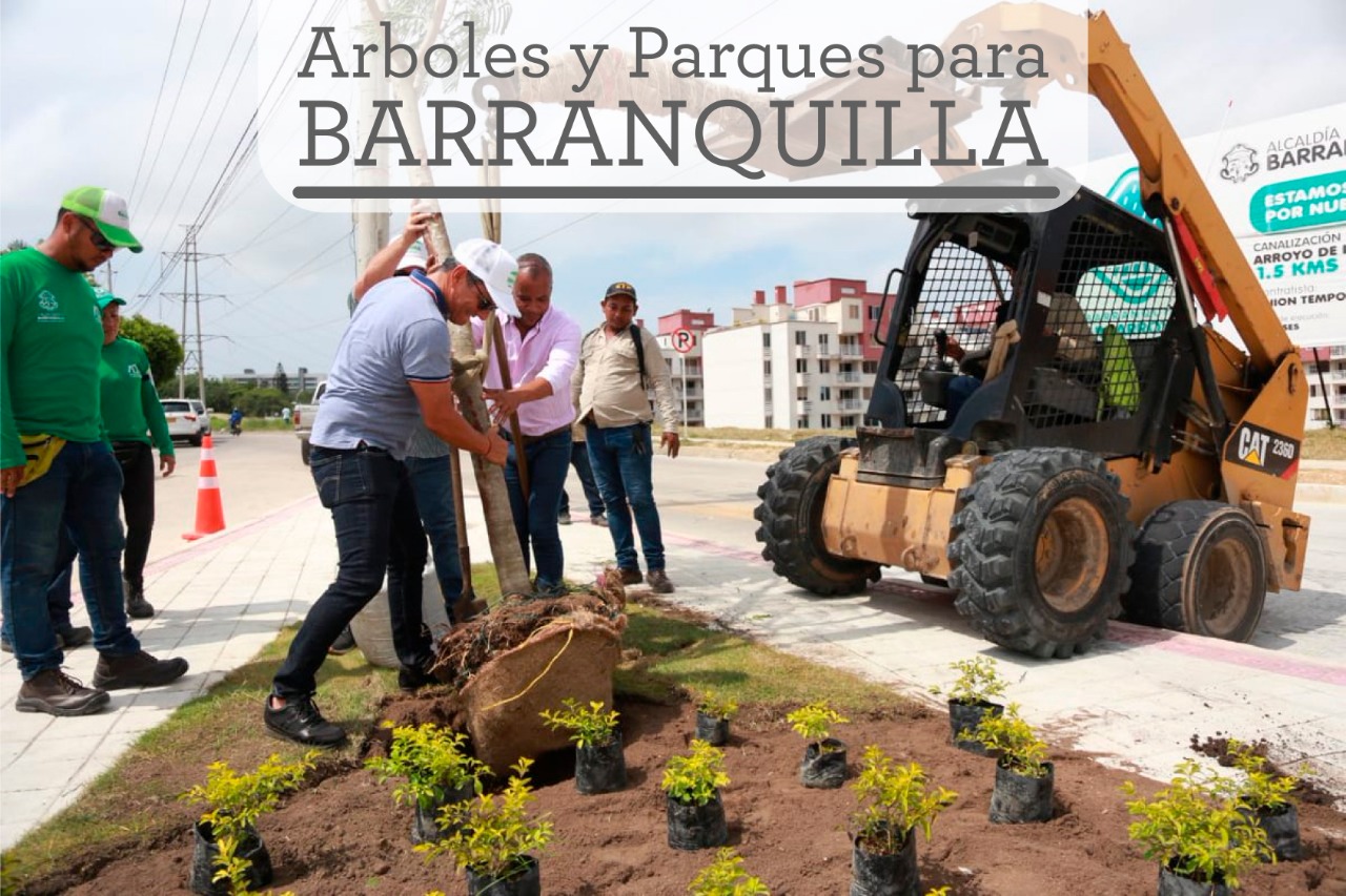 Siembra de arboles y recuperación de parques, Barranquilla